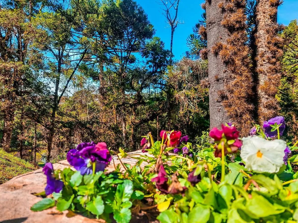 Hotel Fazenda Golden Park Campos Do Jordao